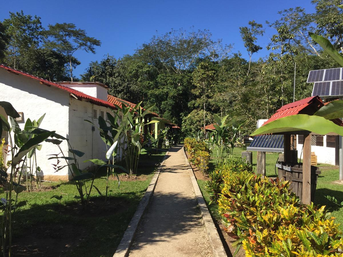 Ecolodge Las Nubes Chiapas La Fortuna Gallo Giro エクステリア 写真