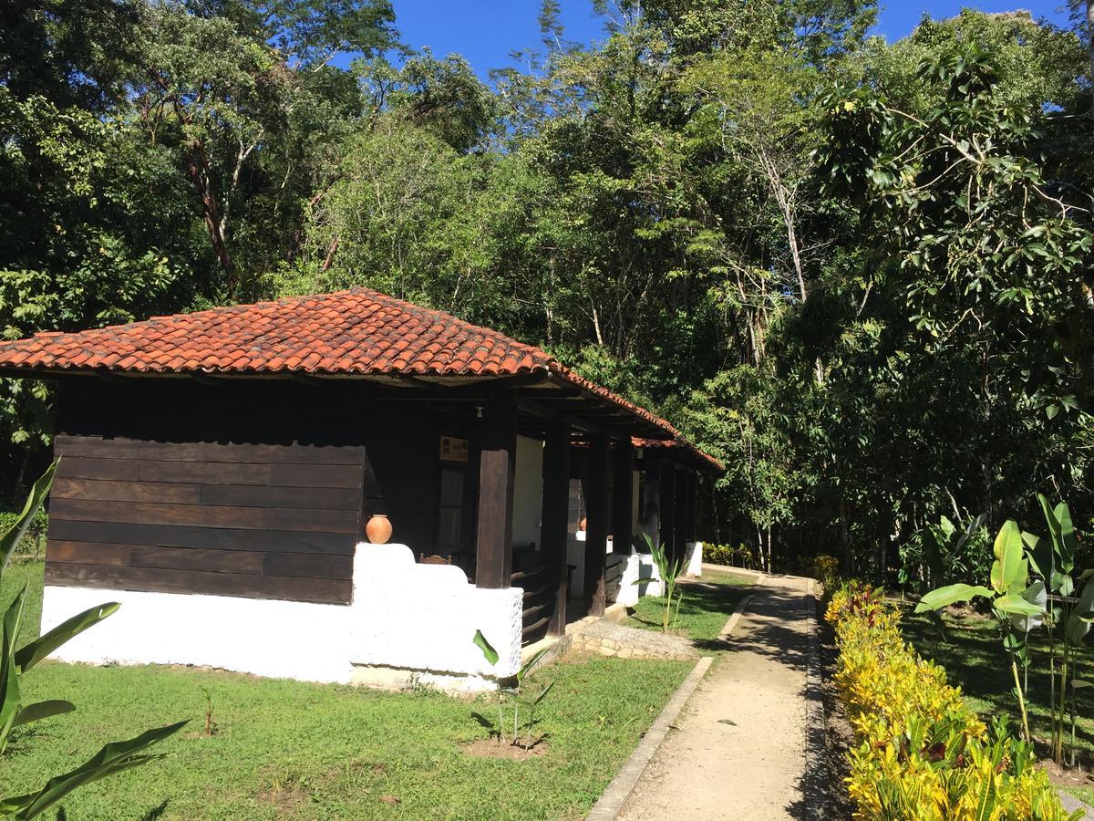 Ecolodge Las Nubes Chiapas La Fortuna Gallo Giro エクステリア 写真