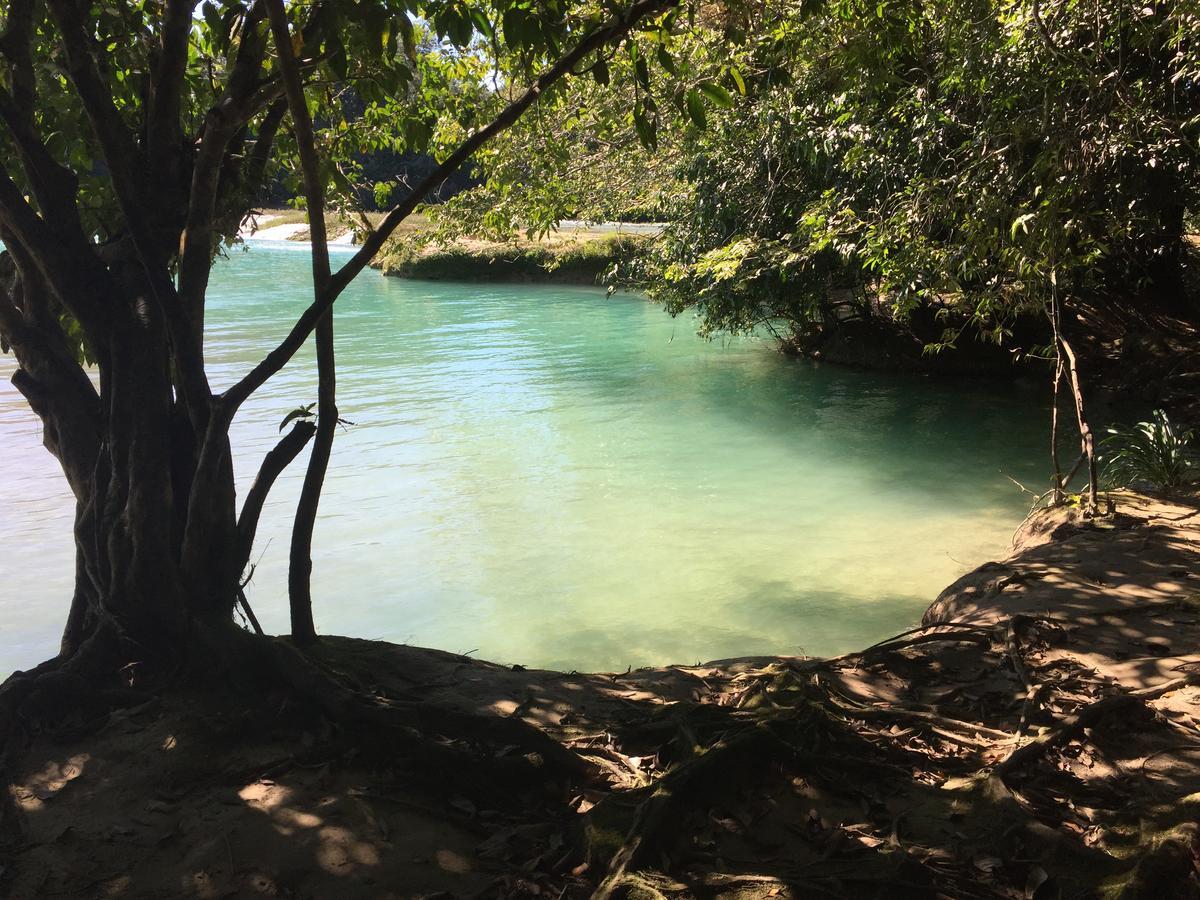 Ecolodge Las Nubes Chiapas La Fortuna Gallo Giro エクステリア 写真