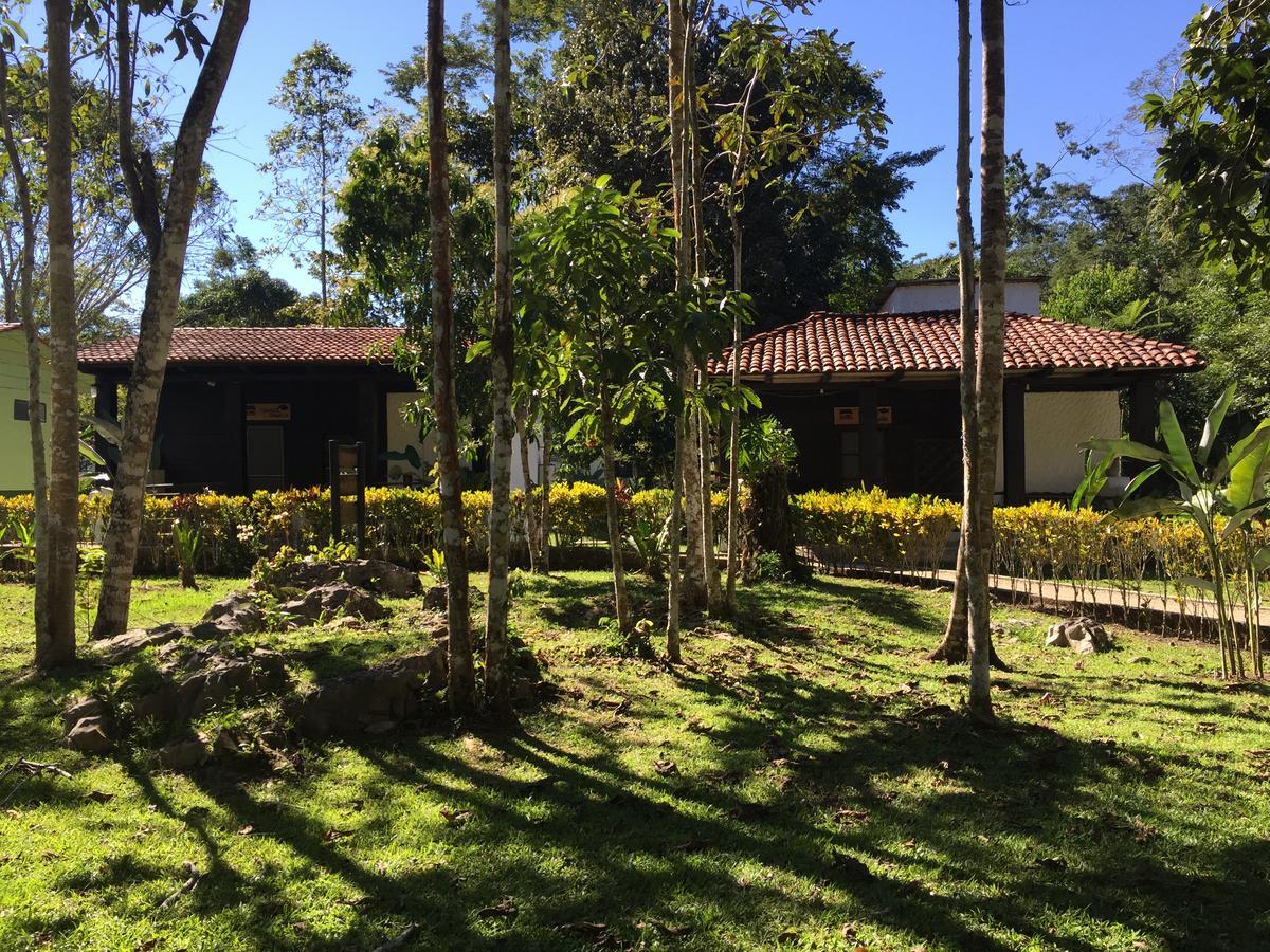 Ecolodge Las Nubes Chiapas La Fortuna Gallo Giro エクステリア 写真