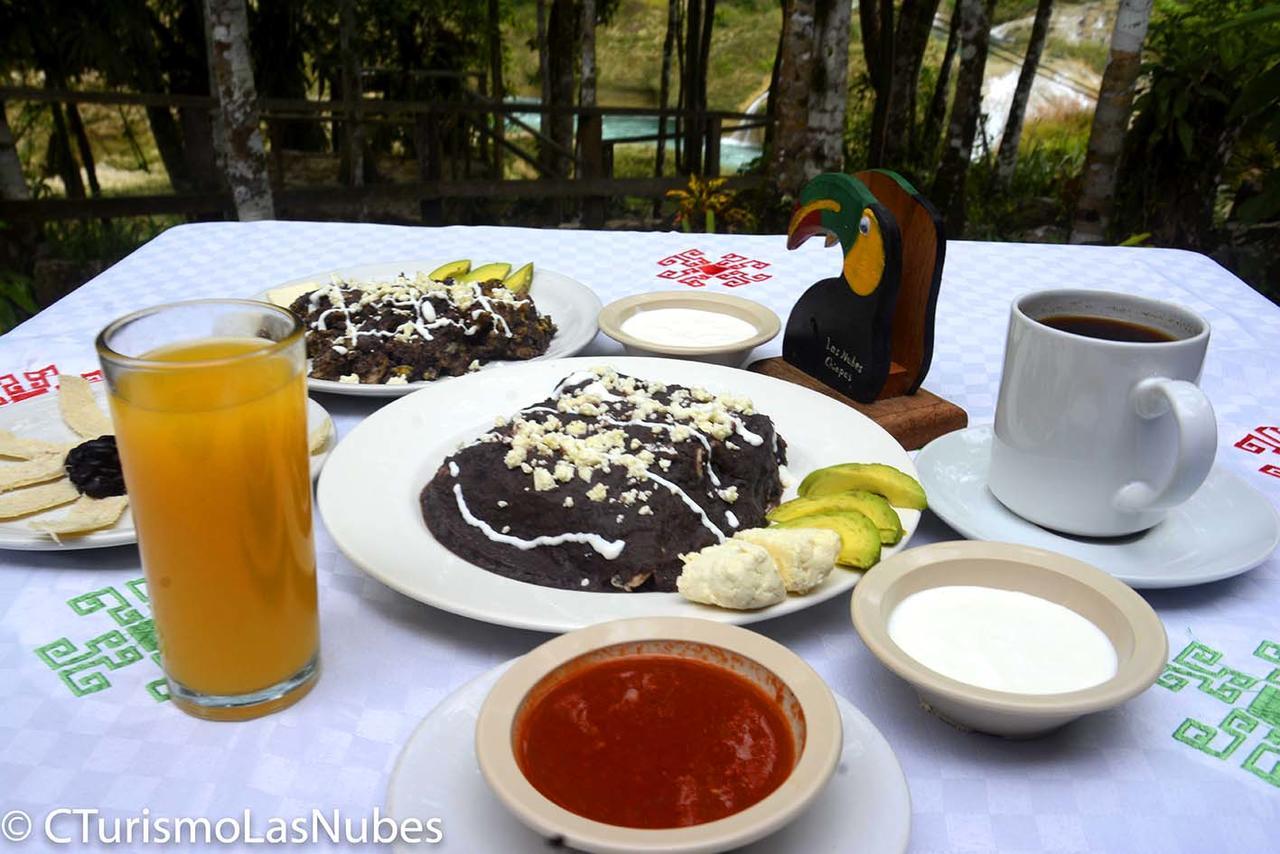 Ecolodge Las Nubes Chiapas La Fortuna Gallo Giro エクステリア 写真