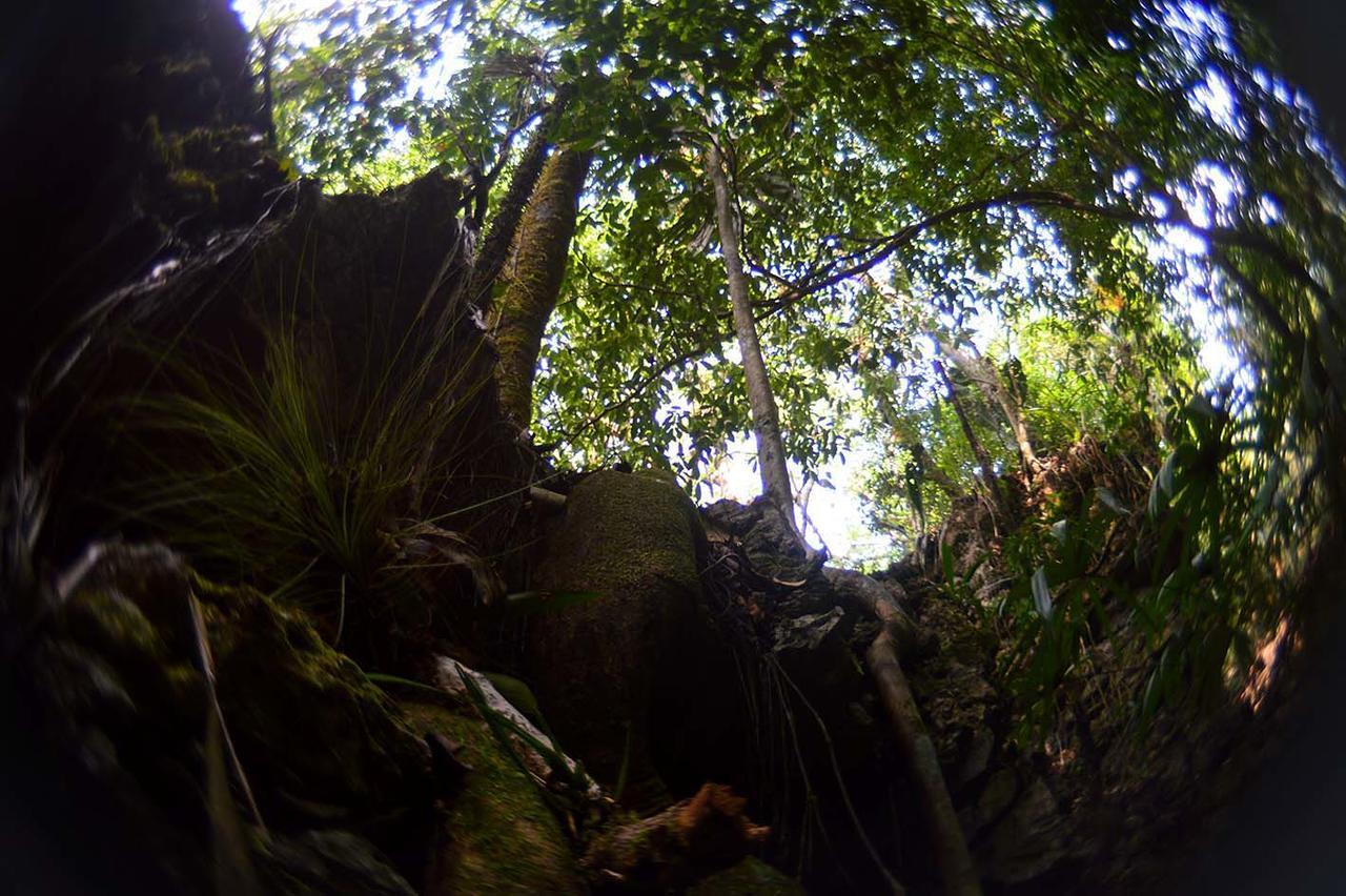 Ecolodge Las Nubes Chiapas La Fortuna Gallo Giro エクステリア 写真