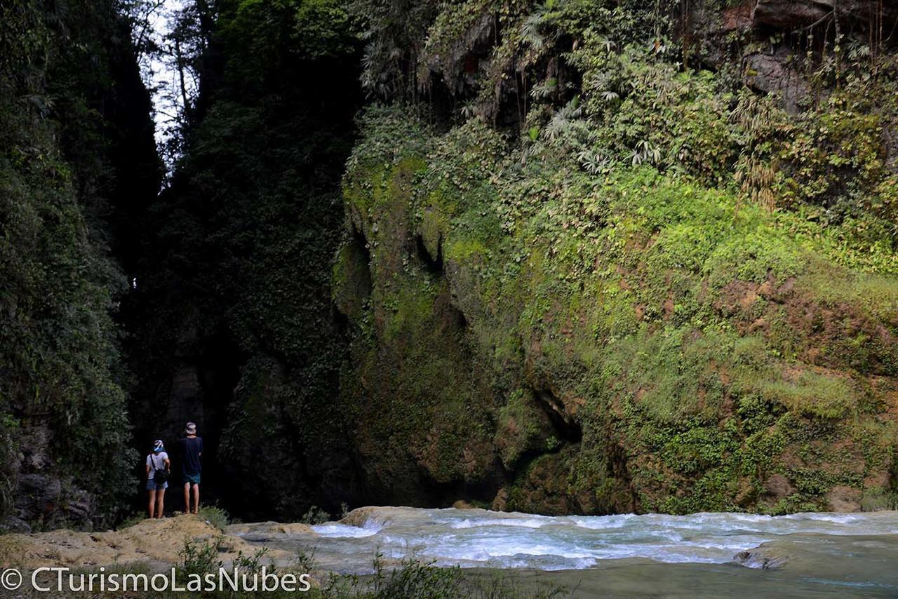 Ecolodge Las Nubes Chiapas La Fortuna Gallo Giro エクステリア 写真