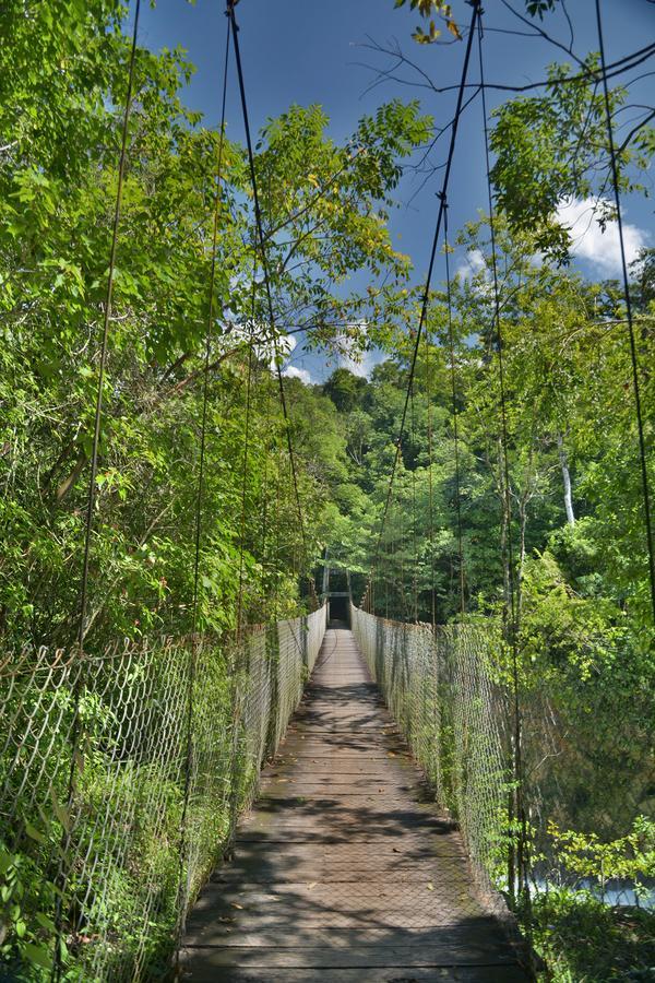 Ecolodge Las Nubes Chiapas La Fortuna Gallo Giro エクステリア 写真